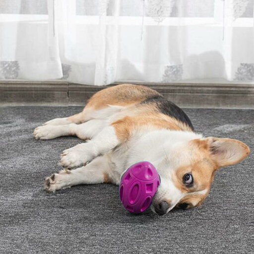きしむ犬のおもちゃきしむ犬のきしむおもちゃ紫の子犬チューボール きしむ犬のおもちゃきしむ犬のきしむおもちゃ紫の子犬チューボール