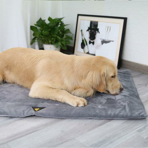 犬用ベッドマットブランケットペットクレートクッションホームトラベル子犬子猫スリーピングパッドグレーXL 犬用ベッドマットブランケットペットクレートクッションホームトラベル子犬子猫スリーピングパッドグレーXL