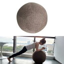 55cm エクササイズ ボールカバー ヨガボールカバー バランスボールカバー 変形せず 帯電防止 通気性 汗を吸収 滑り止め(3)