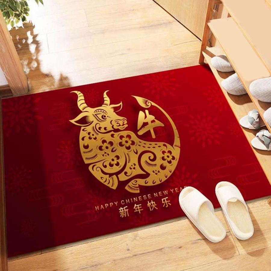 耐久性のある玄関マット滑り止めフロアマット靴スクレーパー16x24 ''ラグドアマットモデル2