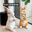 卓上オブジェ インテリア ウサギ うさぎ ラビット 置物 オーナメント ガーデンオーナメント 庭 ガーデニング 樹脂製 かわいい おしゃれ ギフト プレゼント メルヘン おとぎ話