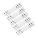 T セラミックカートリッジヒューズ 25A 250V 5x20mm セラミックヒューズ ファストブロー 置換 アリファイア 省エネ ランプバラスト用 5個入り(3)