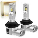 ヘッドライト HI/LO切り替え るさアップ 高光効LEDチップファン 車/バイク用 ハロゲンサイズノイズ抵抗 2個セット