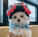 韓国の巻き毛パーマヘアカット女装フード犬帽子ペット猫小型犬
