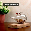 早い者勝ち 貯金箱 ネズミ型貯金箱 大容量 誕生日プレゼント クリア カジュアル ガラス 工芸品 家の置物