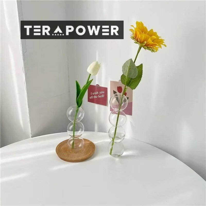 インズの泡は花瓶の透明なボールのガラスの花瓶を挿します