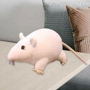 ぬいぐるみ ネズミのおもちゃ 人形 ぬいぐるみ インタラクティブ ギフト用 子供 コレクション ホワイト