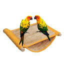 鳥の巣ハウス二層豪華なオウムのベッドラブバードインコオウム用