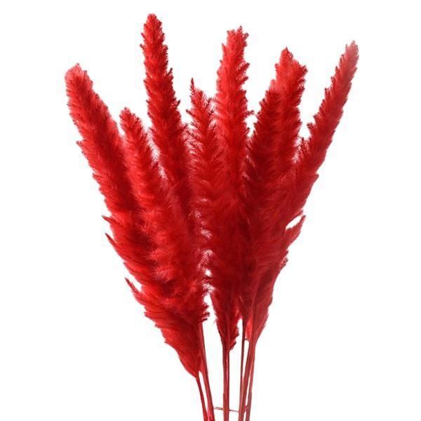 15x乾燥パンパスグラスリードフラワーバンチホームパーティーギフト自由奔放に生きる装飾赤