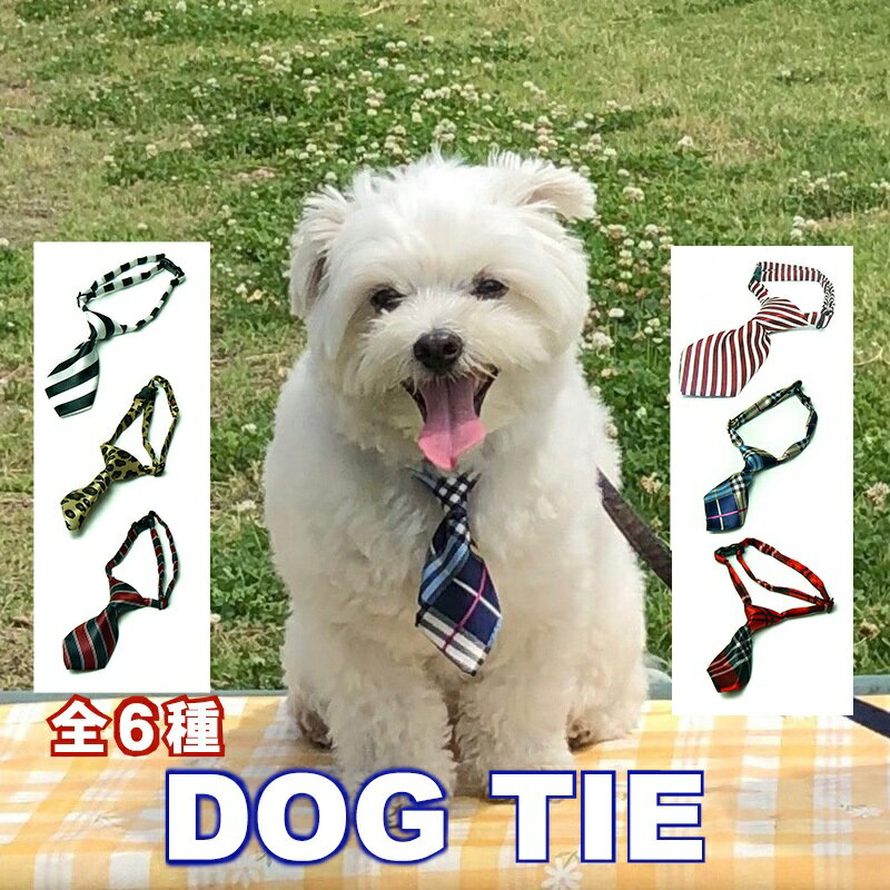 犬 アクセサリー ネクタイ Zenpets DOG TIE 全6種 1000円ポッキリ プレゼント  ...