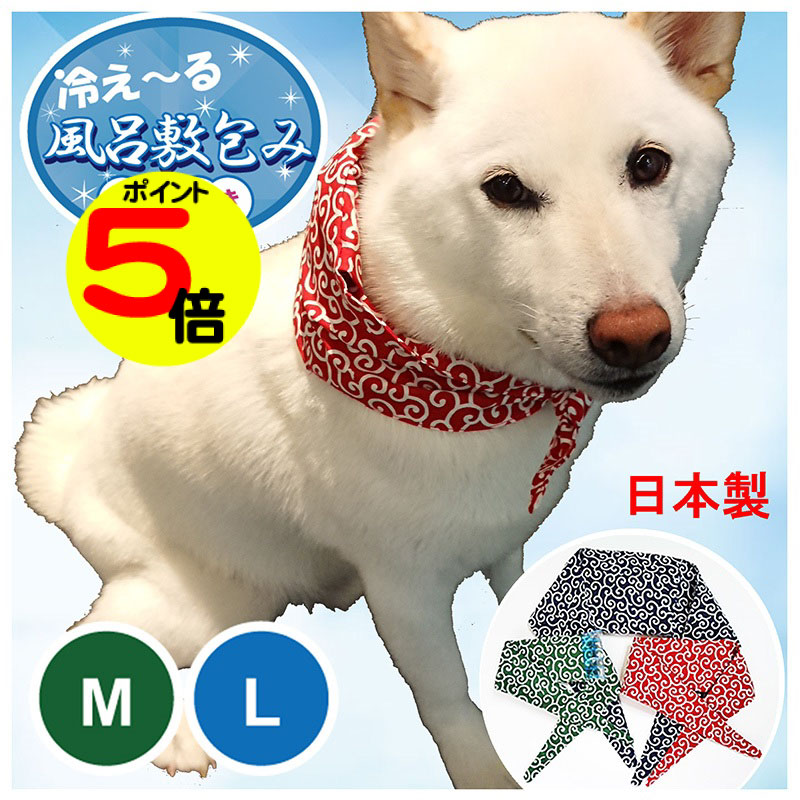 【マラソン中ポイント5倍】 犬用 ア