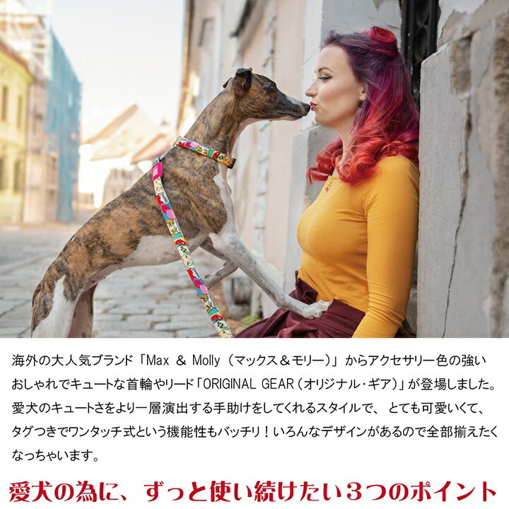 犬用リーシュMaxamp;MollyOriginalGearピアノXSサイズおしゃれ超小型犬小型犬