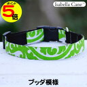 【マラソン中ポイント5倍】 【在庫限り】 小型犬用 首輪 おしゃれ Isabella Cane イザベラケイン Buddha ブッダ模様 SpringGreen