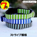 【月末企画ポイント7倍】 【在庫限り】 犬用 首輪 おしゃれ 小型犬用 首輪 Isabella Cane イザベラケイン Stripe ストライプ模様 ポイント消化