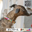 p   fW^qDt |bvK[ Max&Molly OriginalGear ^ ^ ^ ^