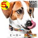 【マラソン中ポイント5倍】 犬用 首輪 おしゃれ デジタル迷子札付き ヒーロー Max&Molly OriginalGear 超小型犬 小型犬 中型犬 大型犬