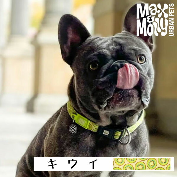 【在庫限り】 犬用 首輪 おしゃれ デジタル迷子札付き キウイ Max&Molly OriginalGear 超小型犬 小型犬..