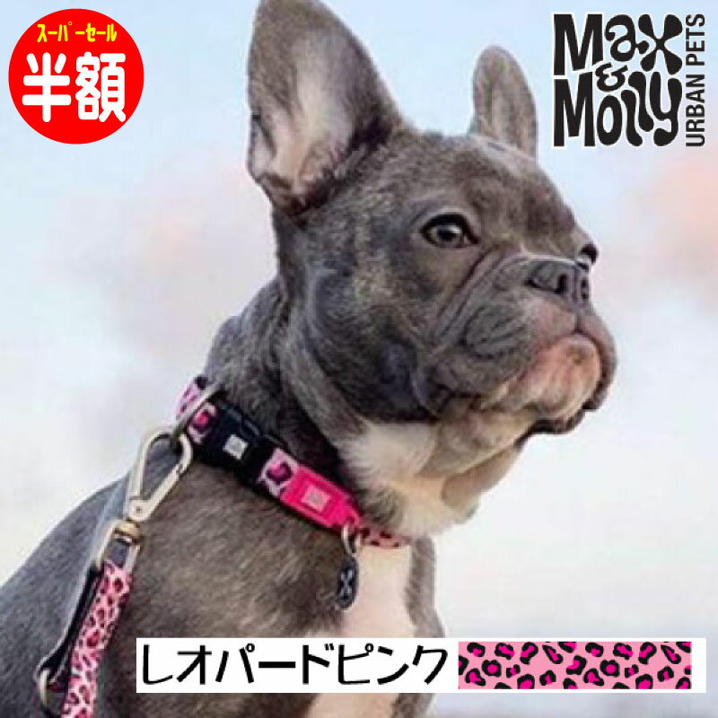 【半額 スーパーSALE&ポイント5倍】 犬用 首輪 おしゃれ デジタル迷子札付き レオパード・ピン ...