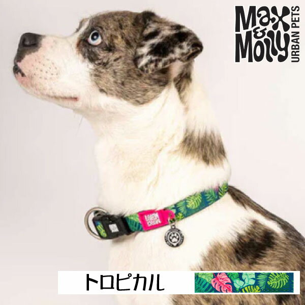 犬用 首輪 おしゃれ デジタル迷子札付き トロピカル Max&Molly OriginalGear 超小型犬 小型犬 中型犬 ..