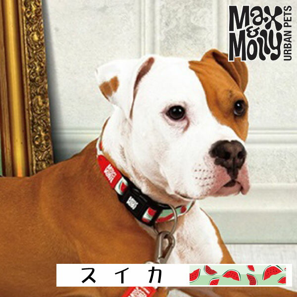 【スーパーセール 10%off】 犬用 首輪 おしゃれ デジタル迷子札付き スイカ Max&Molly OriginalGear 超小型犬 小型犬 中型犬 大型犬