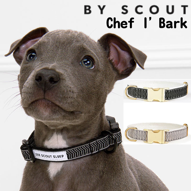 Rakuten - 【在庫限り】 犬用 首輪 おしゃれ See Scout Sleep Chef l’Bark シェフ・ルバーク 小型犬 中型犬 大型犬