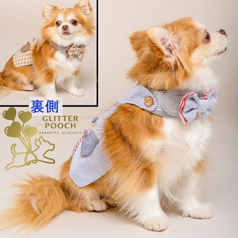 ں߸˸¤  ϡͥ  η GLITTER POOCH ȥ ޥ С֥  ޥåơ׼ ñ