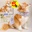 【マラソン中ポイント5倍】 【在庫限り】 小型犬用 ハーネス 簡単着脱 犬服兼用 一体型 GLITTER POOCH モルトン マン リバーシブル おしゃれ マ...