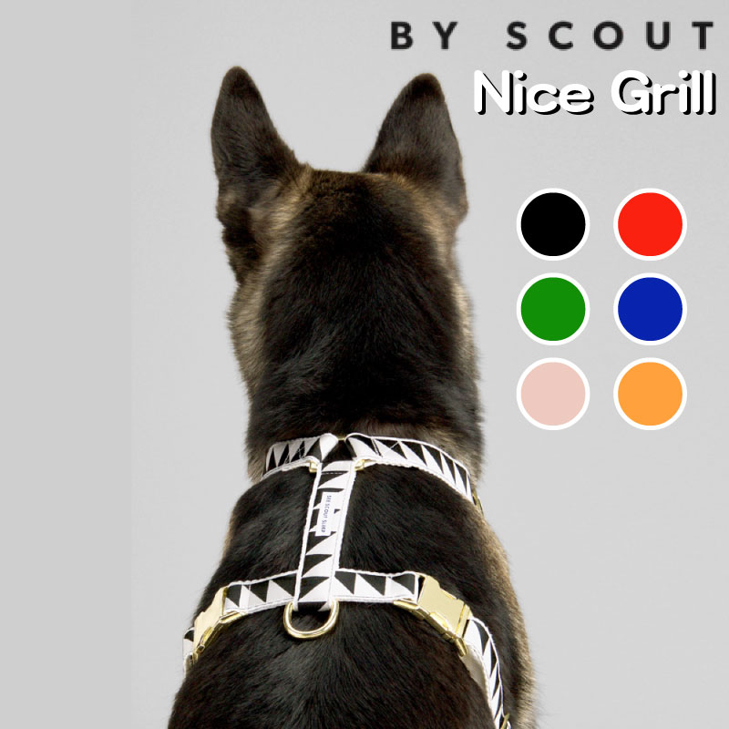 ں߸˸¤  ϡͥ  See Scout Sleep Nice Grill ֥ եˡ ˡ ǥ Ķ  淿 緿