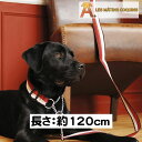 【在庫限り】 犬用 リーシュ Les Matins Coquins レ マタン コカン モダンストライプ 海外ブランド おしゃれ 小型犬 中型犬 大型犬