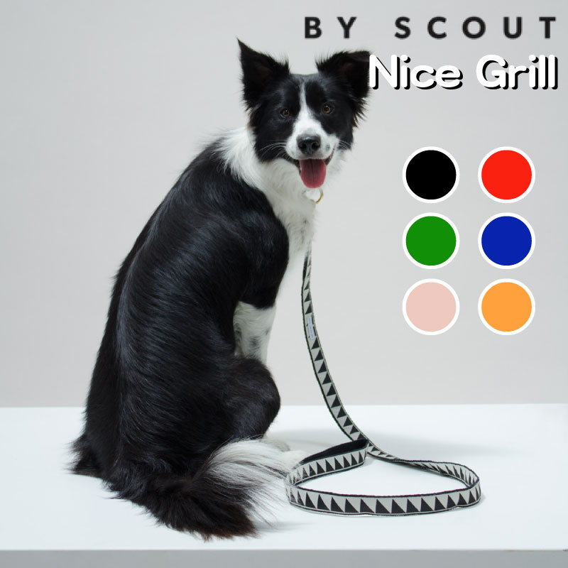 【在庫限り】 スタンダード リード See Scout Sleep Nice Grill 海外ブランド おしゃれ おすすめ ファ..