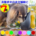 【月末企画ポイント7倍】 ペット用 ステンレスボトル ROOP カラビナ付き 水筒 ループ ウォーターボトル 水飲み 犬用 ポイント消化