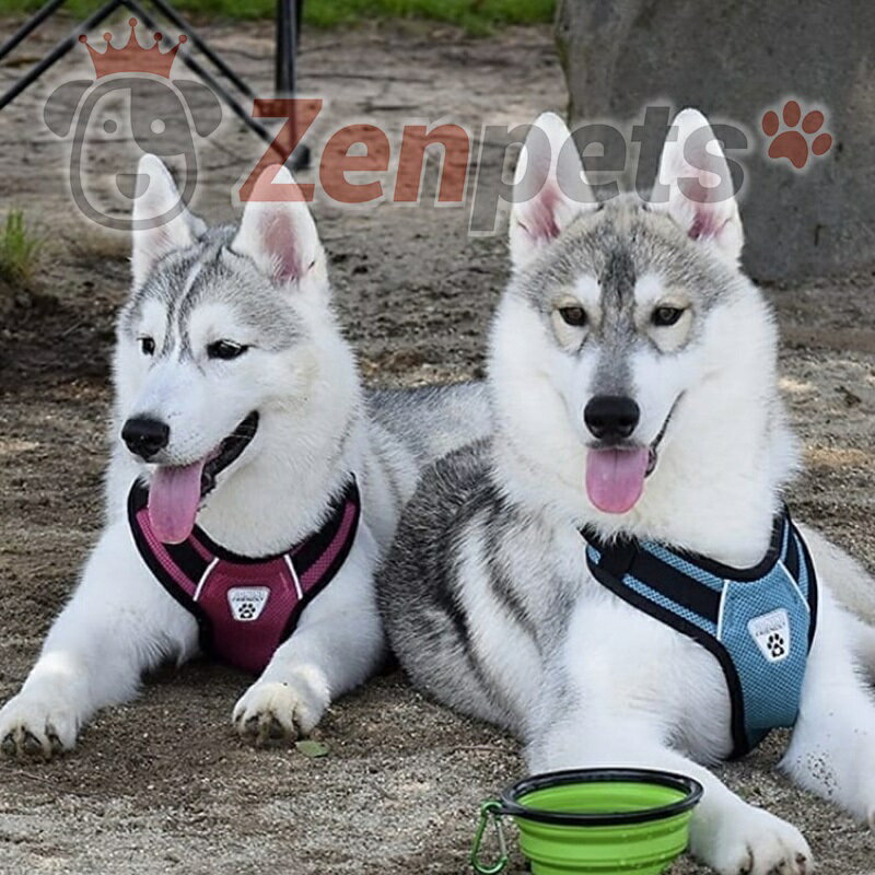 ハーネス胴輪犬用RCPetProductsVentedVestHarnessV2アールシーペットプロデュースサイズ:XS海外直輸入ラズベリーレッドブラックライム