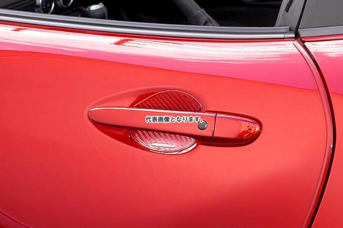 オートエクゼ ドアハンドルプロテクター A001670-03 A00167003