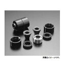 クスコ コントロールアームブッシュ(ピロ) ホンダ S2000 AP1 FR用 380 464 DV