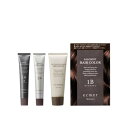 エクメール サロニスト ヘアカラー 1剤・2剤 各50g ヘアトリートメント 100g