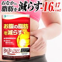 【レビューでもう1個プレゼント】ダイエットサプリ おなかの脂肪 内臓脂肪 皮下脂肪 減らす ブラックジンジャー ダイエット サプリメント 機能性表示食品 サプリ 30日分 カルニチン コエンザイムQ10 カプサイシン EAA ギムネマ ヒハツ サラシア 内臓脂肪を減らす シボヘルス