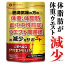 【レビューでもう1袋プレゼント】ダイエットサプリ 体重 サプリ 体脂肪 中性脂肪 内臓脂肪 ウエスト周囲径の減少をサポート ダイエット サプリメント エラグ酸 ダイエットサポート 機能性表示食品 30日分 アフリカマンゴノキ シボヘルスPREMIUM