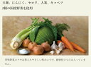 zero-one-store:10000287のサンプル画像3