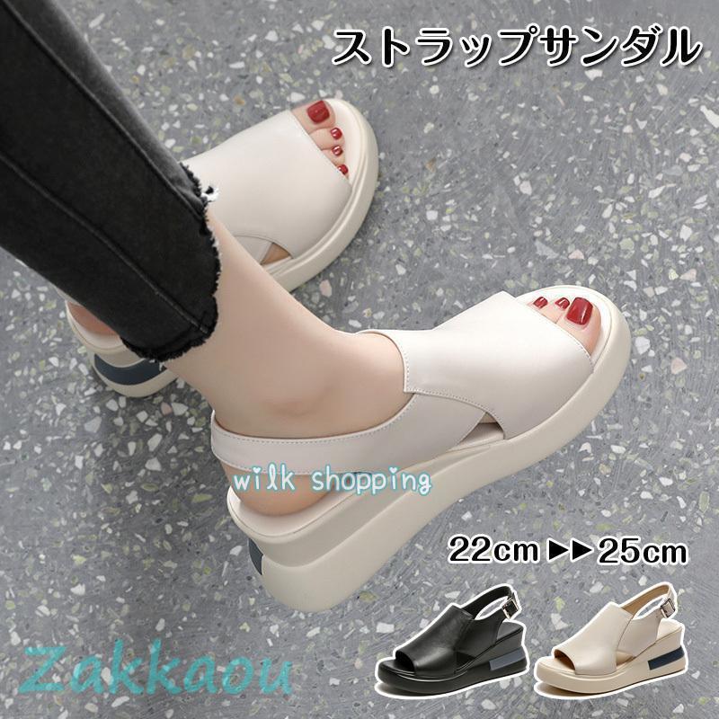 ������� ��ǥ����� ���ݡ��ĥ������ �����å������� ���ݥ��� ���� ���ˡ������������ ���ޡ� �̵� �⤭�䤹�� �� 2022 �����奢�� ���塼��