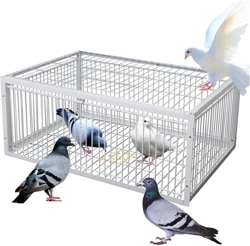 樂天商城 - 自動鳩捕獲器 片道入口付き 脱出防止設計 屋外 鳩かご 鳩捕り籠 鳥かご 鳩罠 ポータブル 4 輸入 鉄製ケージ 自動鳩コレクター 鳥に害はありません 鳥よけ 組み立て簡単 畑 庭 家庭菜園 農業作物保護 鳥害対策