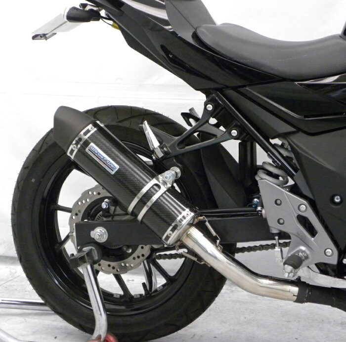 GSX250R（2BK-DN11A） スリップオンマフラー ユーロタイプ ブラックカーボン ウイルズウィン（WirusWin）