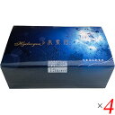 水素 水素浴 水素バス Hydrogen 水素浴(スタートセット) 4個セット オジカインダストリー