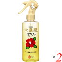 大島椿 ヘアスプレー ヘアミスト 大島椿 ヘアウォーター つやつやウォーター 180ml 2本セット 送料無料