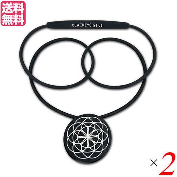 Daily Necessities - 【マラソン限定！ポイント4倍！】電磁波 カット 防止 ブラックアイ ガイアスネックレス 2個セット 送料無料