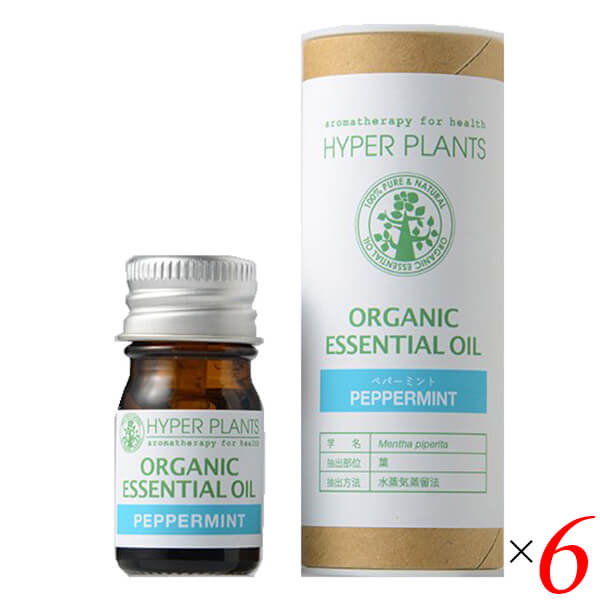 ��2/25��(��)���ꡪ��ŷ�����ɤǥݥ���Ⱥ���10�ܡ��ۥ����ޥ����� ���å��󥷥�륪���� ���� �ϥ��ѡ��ץ��� �������˥å����å��󥷥�륪���� �ڥѡ���...