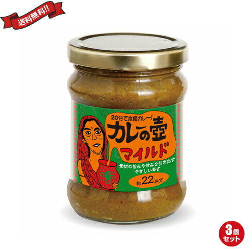 カレー ルー レトルト 第3世界ショップ カレーの壺 マイルド 220g 3個セット