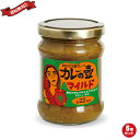 【マラソン限定!ポイント2倍!100円クーポン!】カレー ルー レトルト 第3世界ショップ カレーの壺 マイルド 220g 6個セット