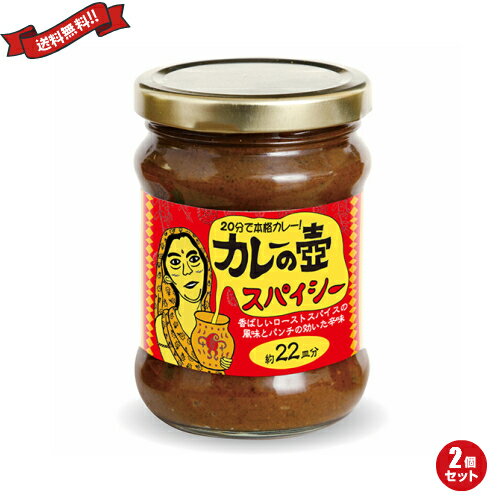 【5/5(月)限定!楽天カード利用でポイント8倍!】カレー ルー レトルト 第3世界ショップ カレーの壺 スパイシー 220g 2個セット