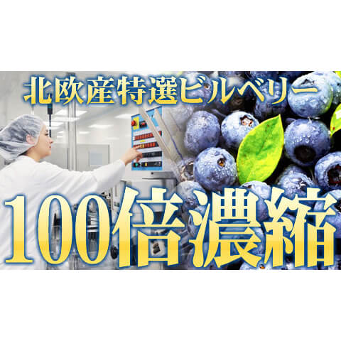 【ポイント最大8倍！】10/18(日)限定！ビルベリー ルテイン サプリ 極藍100倍濃縮北欧産ビルベリー 大容量 360粒 約6ヵ月分 4個セット 送料無料 zeroone777-10024545 ビューティーワン サンプル画像2