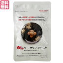 ターミナリアファースト プロフェッショナル3(スリー)120粒 機能性表示食品